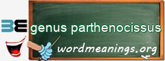 WordMeaning blackboard for genus parthenocissus